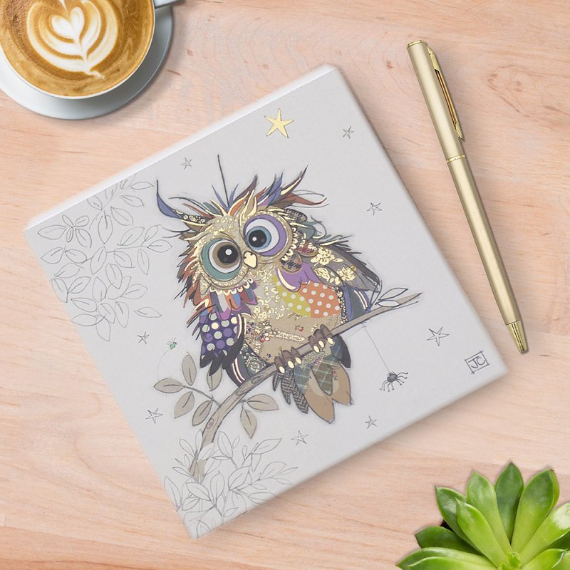 Bug Art Otto Owl Memo Pad with Pen – 14cm x 14cm - Give And Glow