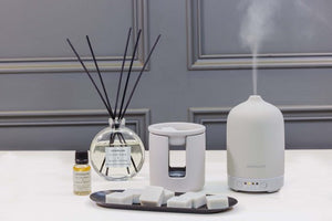 Modern Classics - Silver Birch & Black Pepper - Scented Fragrance Oil 15ml - Give And Glow