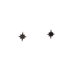 Silver Compass Stud Earrings – Rhodium-Plated Stainless Steel - Give And Glow